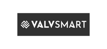 client-logo--valvsmart